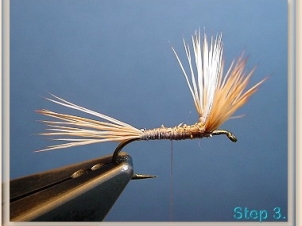 blond-wulff-004