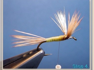 blond-wulff-005