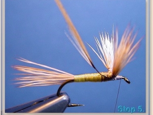blond-wulff-006
