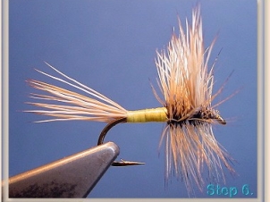 blond-wulff-007
