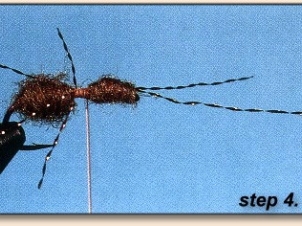 flying-ant-005