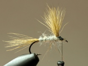 gray-wulff-005