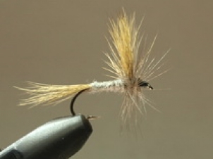 gray-wulff-007