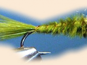 red-eye-damsel-001