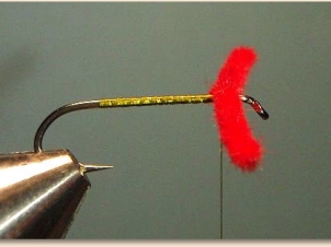 red-eye-damsel-002