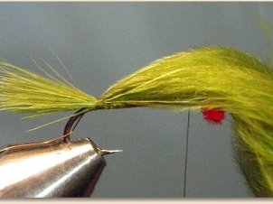 red-eye-damsel-004