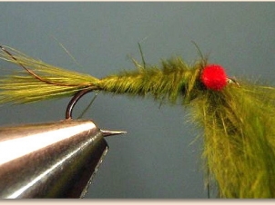 red-eye-damsel-005