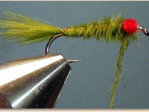 red-eye-damsel-006