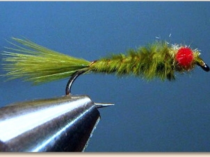 red-eye-damsel-007