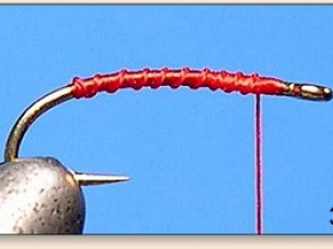 red-thread-larva-004