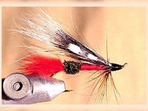 rogue-river-special-001