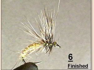 simple-dry-007
