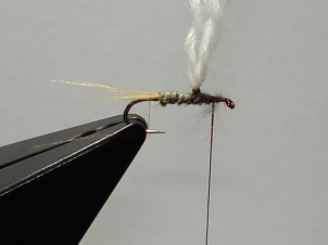 adams-parachute-005_0