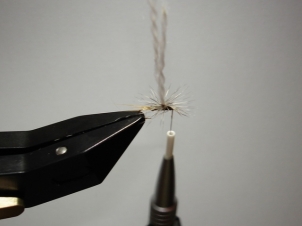 adams-parachute-007_0
