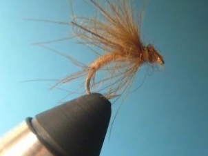 amu-caddis-emerger-001