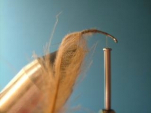 amu-caddis-emerger-003