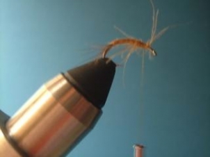 amu-caddis-emerger-005