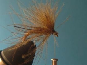 amu-caddis-emerger-010