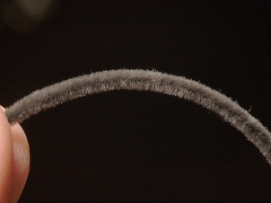 ant-001