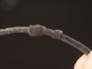 ant-004
