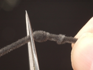 ant-005