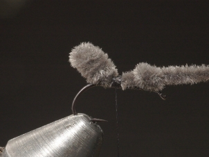 ant-006
