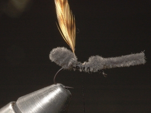 ant-007