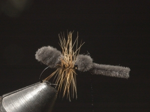 ant-008