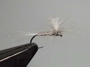 blue-quill-bodied-parachute-001