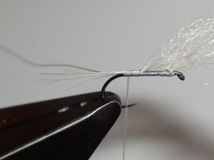 blue-quill-bodied-parachute-003