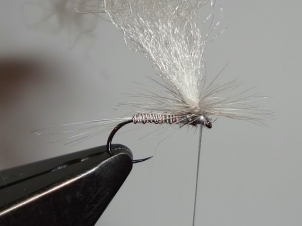 blue-quill-bodied-parachute-007