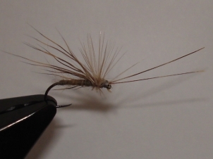 everybodys-caddis-001