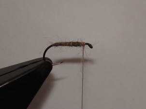 everybodys-caddis-004
