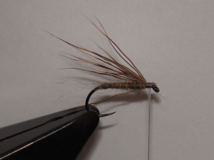 everybodys-caddis-005