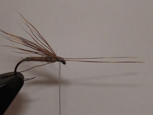 everybodys-caddis-007