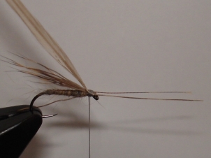 everybodys-caddis-008