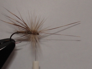 everybodys-caddis-009