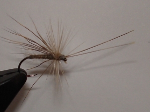 everybodys-caddis-010