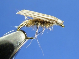 micro-caddis-001