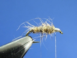 micro-caddis-002