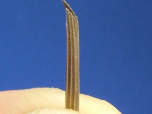 micro-caddis-003