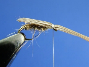 micro-caddis-005