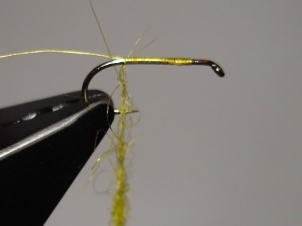 yellow-sally-dry-004