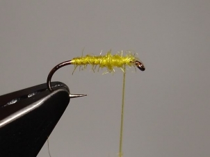 yellow-sally-dry-006
